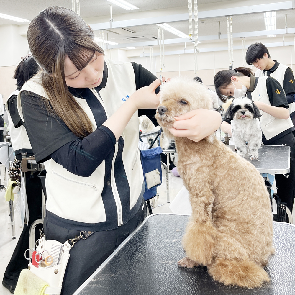 ２年生、卒業までのカウントダウンが始まりました！